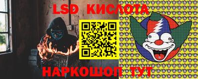 гидропоника Пугачёв