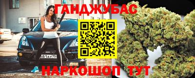 гидропоника Пугачёв