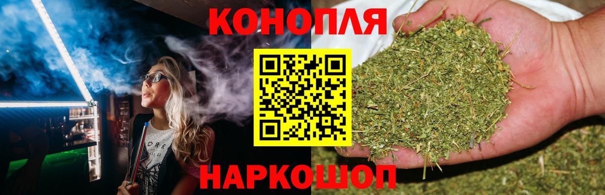Бошки Шишки план Стрежевой